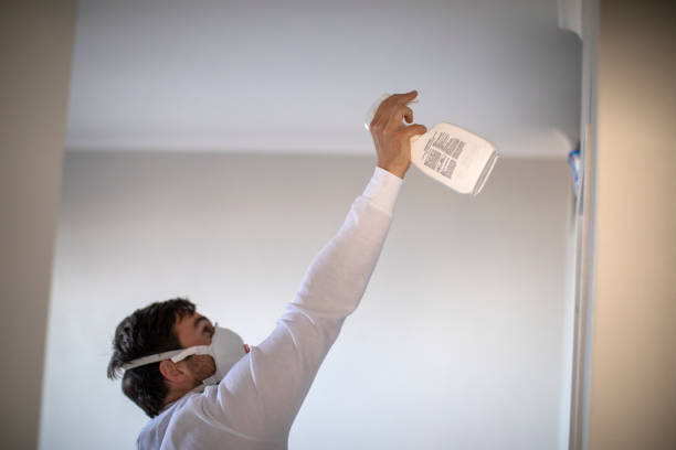 Best Home Mold Removal  in Kirkland, WA